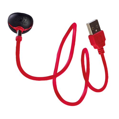 USB MAGNETIC CHARGER for sex toys in Idaho market.