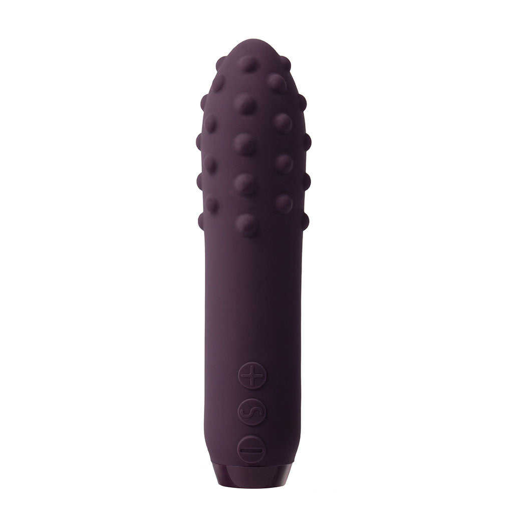 Duet Bullet Purple vibrator for ultimate pleasure Idaho