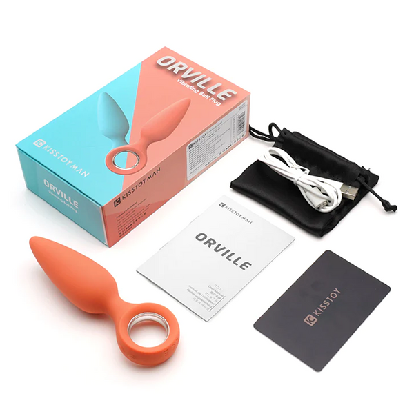 Cheeky Vibrating Butt Plug with packaging, USB charger, and user manual, perfect for anal play and pleasure.