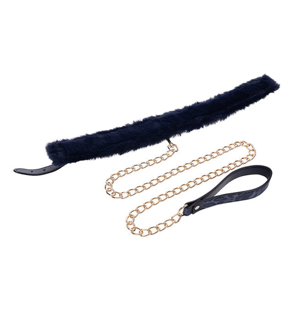 Cougar Fur Collar & Leash in royal blue with gold chain, ideal for Boise sex toys.